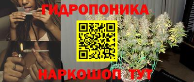МДПВ Гудермес