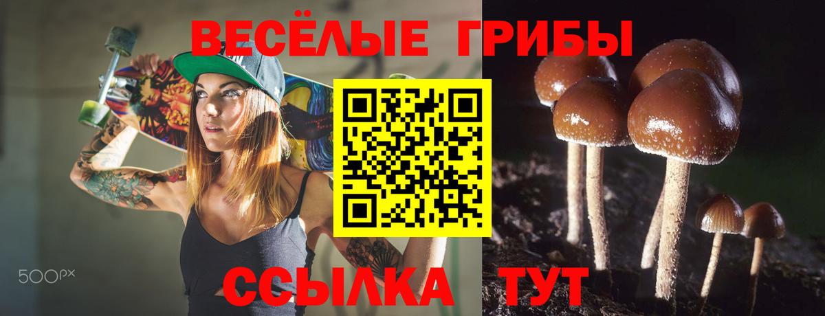 Псилоцибиновые грибы прущие грибы  Вход с VPN  Елец 