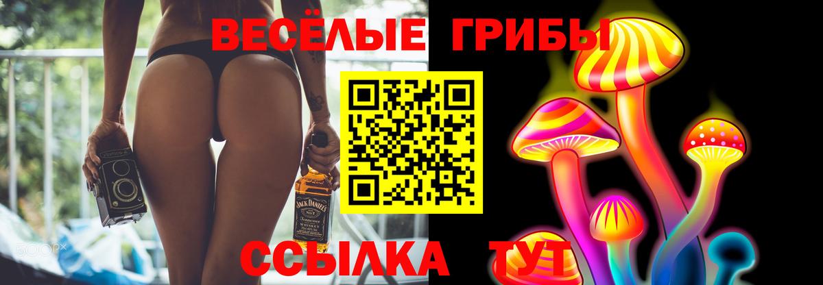 Галлюциногенные грибы Cubensis Елец
